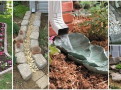 10-fantastic-dry-creek-beds-for-landscaping