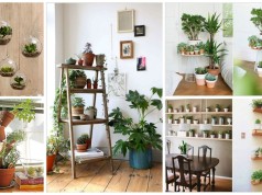 12 Creative Ideas How To Display Your Indoor Plants