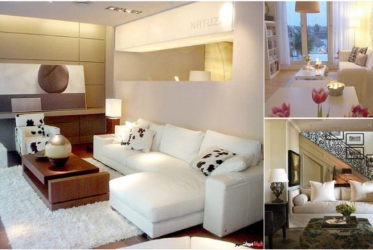 10 Interior Design Concepts That You Will Love