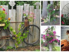 10-unexpected-ways-to-make-your-own-garden-trellis