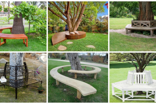 16 Creative Benches Around the Tree for Memorable Moments