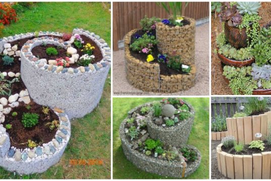 Wow!!! You Need to See These Spiral Gardens!