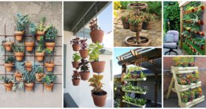 12 Creative DIY Gardens That Will Amaze You