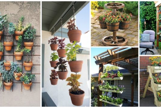 12 Creative DIY Gardens That Will Amaze You