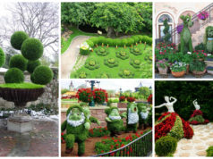 Cute Ideas for Garden Arrangement With Flowers and Grass