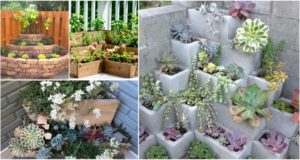 DIY Corner Planters Perfect For Small Gardens