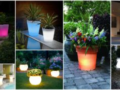 Solar Powered Pots That Will Brighten Up Your Garden