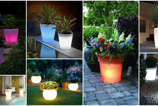 Solar Powered Pots That Will Brighten Up Your Garden