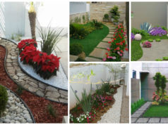 13 Vibrant Small Garden to Inspire You