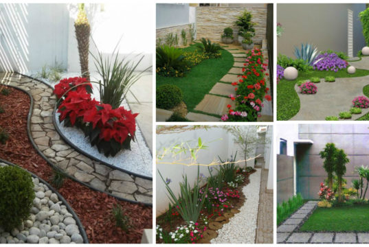 13 Vibrant Small Garden to Inspire You
