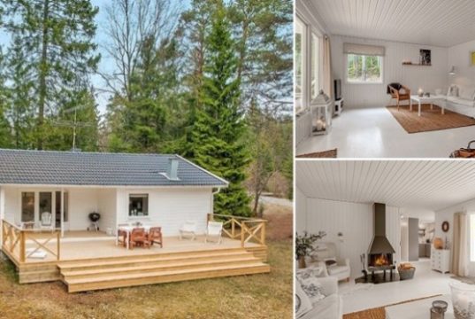 A Small White House in the Woods of Sweden 0