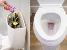 Amazing Toilet Tricks that Will Save You Time and Money