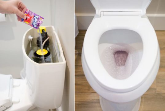 Amazing Toilet Tricks that Will Save You Time and Money