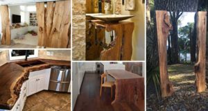 Top 10 Cool Decorating Ideas with Live Edge Wood