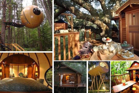 DIY Luxury Tree Houses
